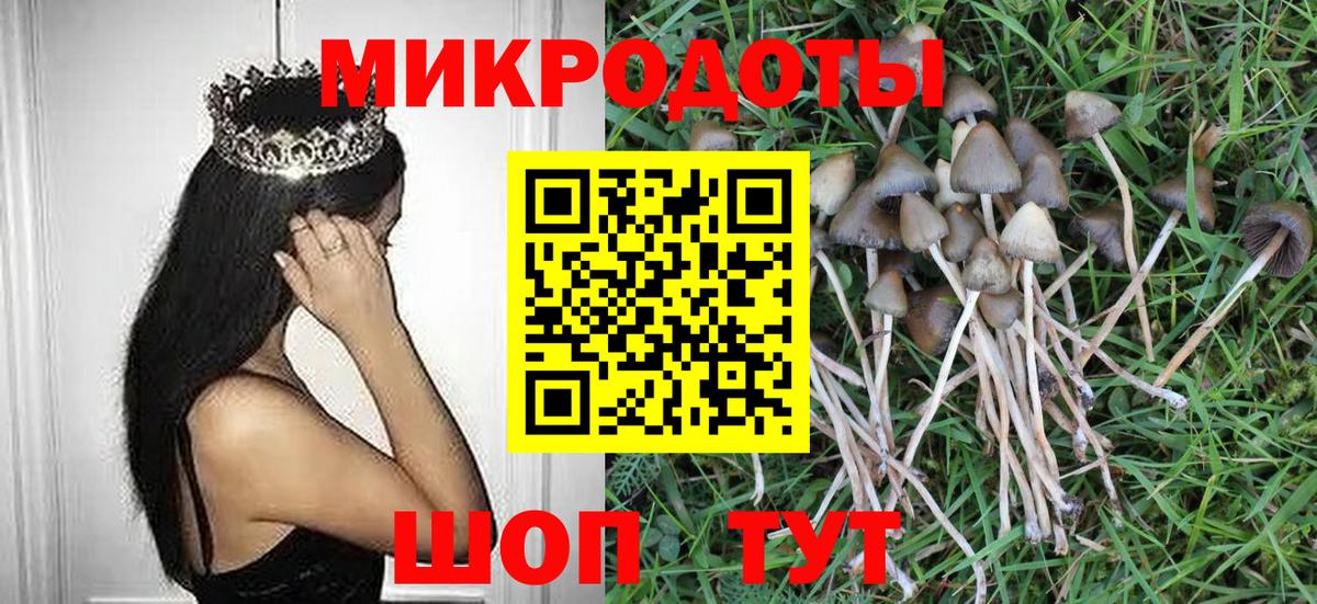 Псилоцибиновые грибы прущие грибы Ачхой-Мартан